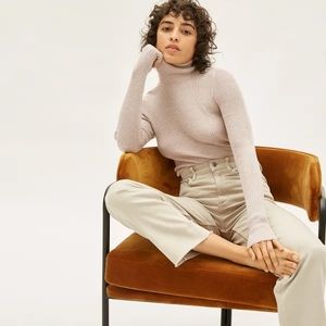Everlane Italian Merino Ribbed Turtleneck
